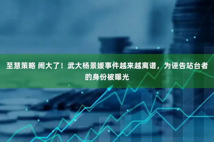 至慧策略 闹大了！武大杨景媛事件越来越离谱，为诬告站台者的身份被曝光
