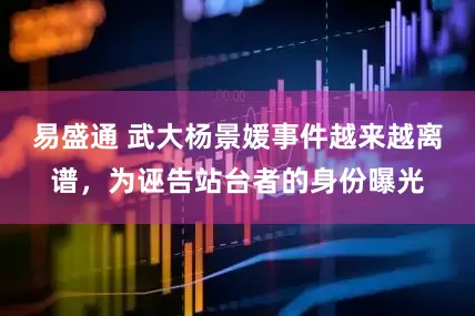 易盛通 武大杨景媛事件越来越离谱，为诬告站台者的身份曝光