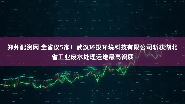 郑州配资网 全省仅5家！武汉环投环境科技有限公司斩获湖北省工业废水处理运维最高资质
