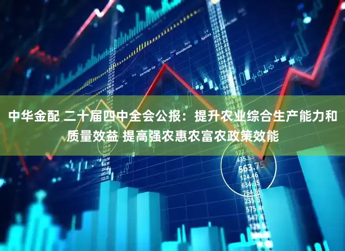中华金配 二十届四中全会公报：提升农业综合生产能力和质量效益 提高强农惠农富农政策效能
